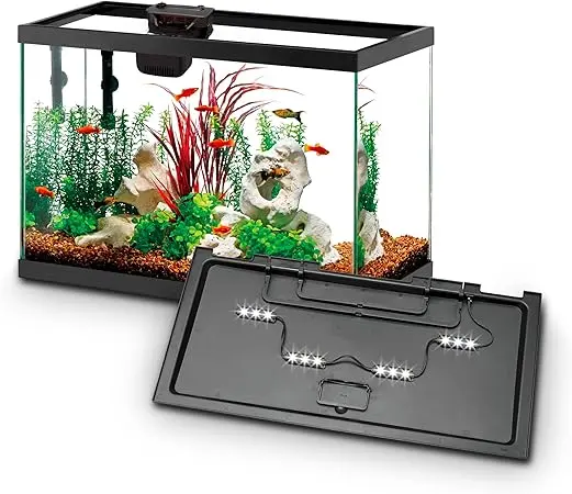 Aqueon Aquarium Starter Kit 20 Gal